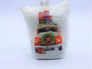Fermaporta Macchina con led H20