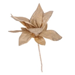 Fiore oro Choisya in foam