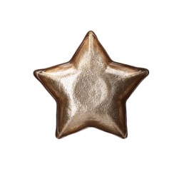Rituali Domestici Piatto Stella D 16