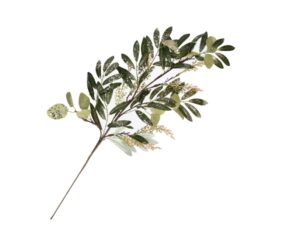 Rituali Domestici Ramo Nandina Chiara H74