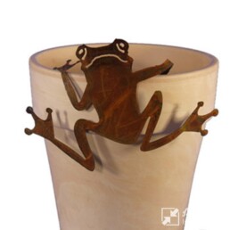 La Maison Store Rana arrampicatrice per vaso H14